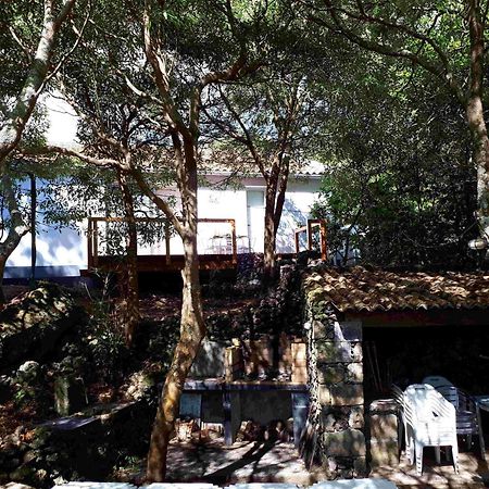 Quinta De Sao Caetano - Sao Miguel Acores Populo  Экстерьер фото