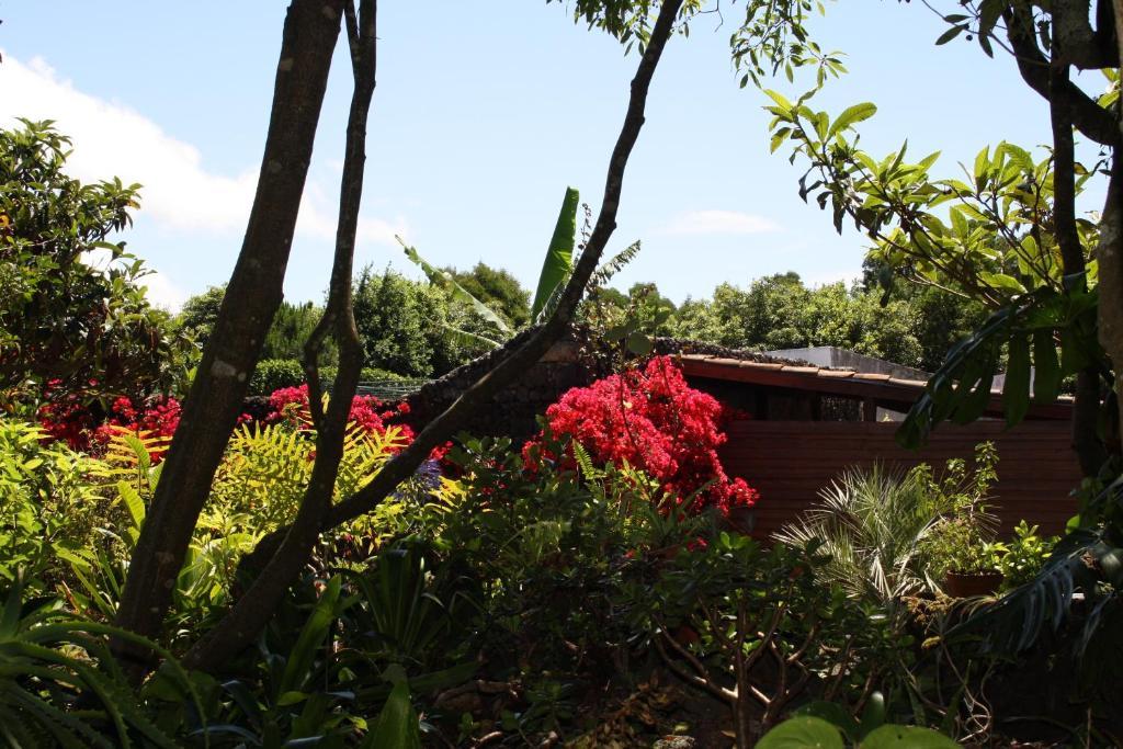 Quinta De Sao Caetano - Sao Miguel Acores Populo  Экстерьер фото