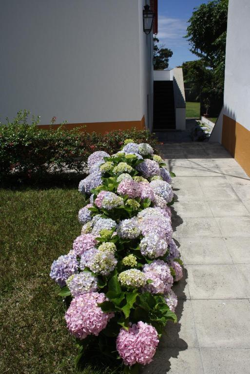 Quinta De Sao Caetano - Sao Miguel Acores Populo  Номер фото